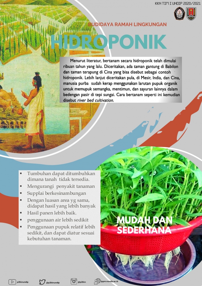 Gambar 1. Poster Sejarah Singkat dan Keunggulan Budidaya Hidroponik (dokpri)