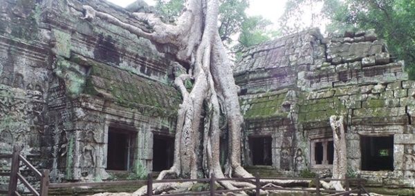 Lokasi syuting film Tomb Raider di bangunan purbakala di Kamboja (Foto: travel.detik.com)