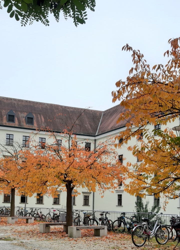 Area kampus Uni Passau saat musim gugur (Dokpri)