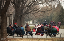 Warga lokal duduk di bawah pohon Cypress. Sumber: koleksi pribadi