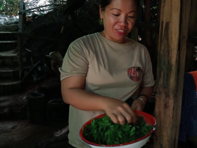 Daun beluntas siap dimasak. Dokumen pribadi
