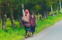 kampung kegime, Wamena Papua (Dok. pribadi)
