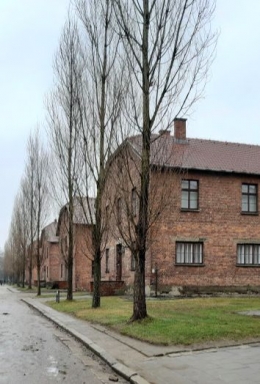 Kompleks bangunan di museum Auschwitz  (Dokumentasi pribadi)