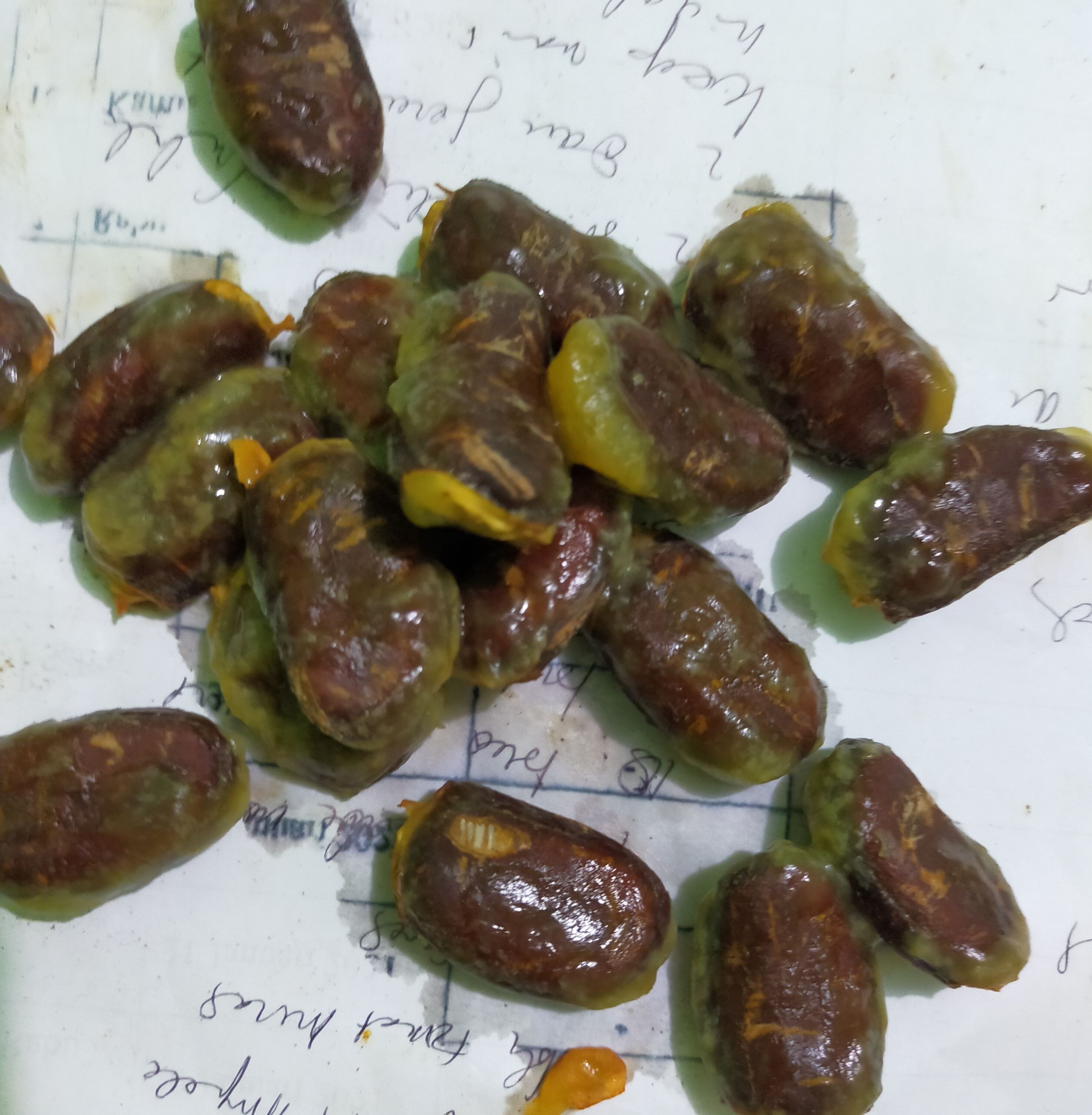 Biji buah kepel | Foto: Siti Nazarotin