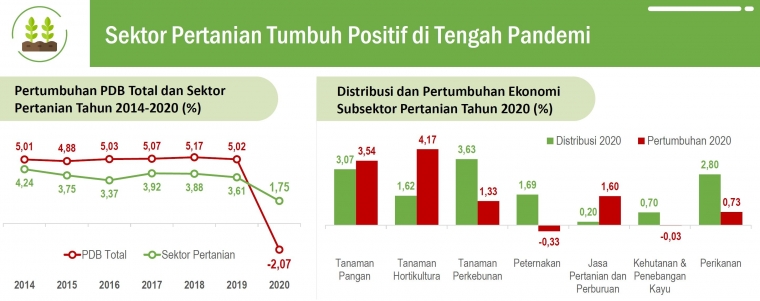 Sumber: Bahan tayang kepala BPS pada webinar INDEF