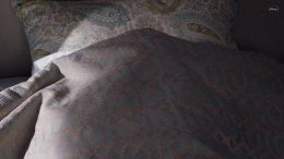 Di awal episode, Wanda terlihat bersembungi di dalam selimutnya bergambar heksagonal. Sumber : Disney+