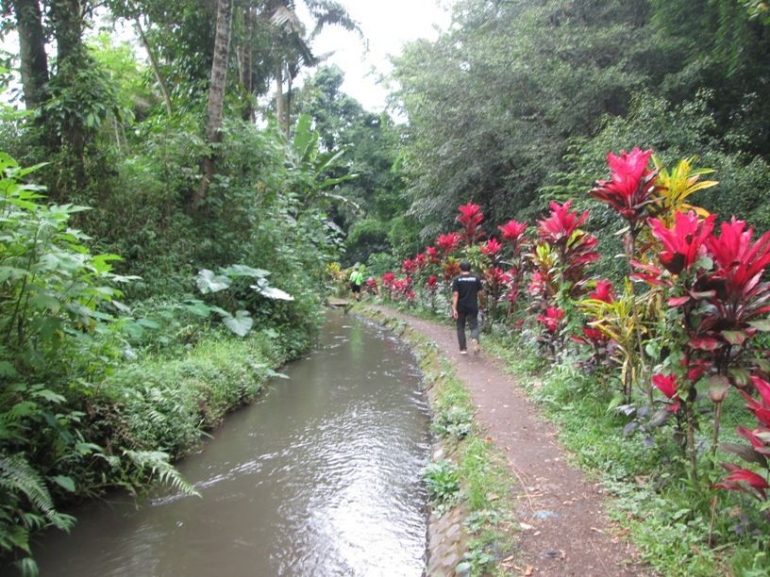 Jalan setapak menuju petirtaan. Dok pribadi