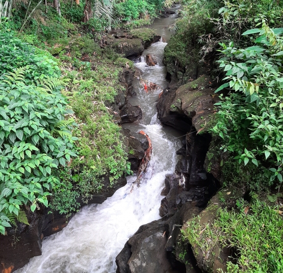 View Sungai Mantenan|Dok. Pribadi