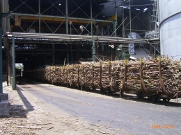 Kegiatan giling tebu salah satu Pabrik Gula di Malang (Foto Dok.Pri/Hensa) 