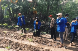 Budidaya tanaman porang fase pertumbuhan batang dan akar didampingi oleh Karsono Kepala Desa Klapagading Kulon.
