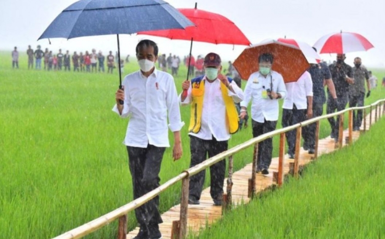 Gambar.m.bisnis.com./Jokowi bersama rombongan di lokasi Food Estate Sumba Tengah NTT