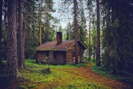 Kabim, rumah kecil di hutan (sumber gambar: pixabay.com)