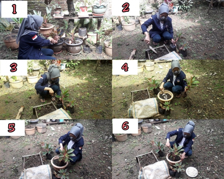 dok. pribadi
