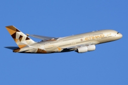 Etihad Airways. Sumber: www.airlinergs.com