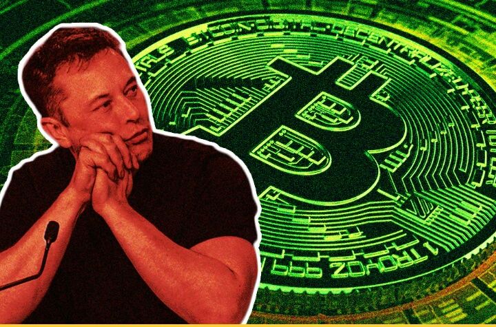 Elon Musk dan bitcoin (dok.futurism)