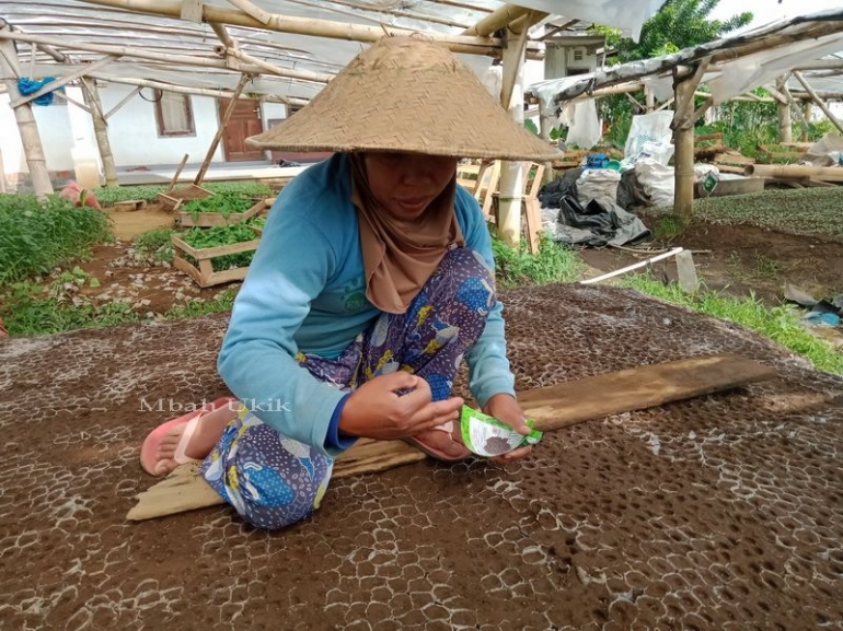 Menyemai satu persatu dengan sabar dan telaten. Dokumen pribadi