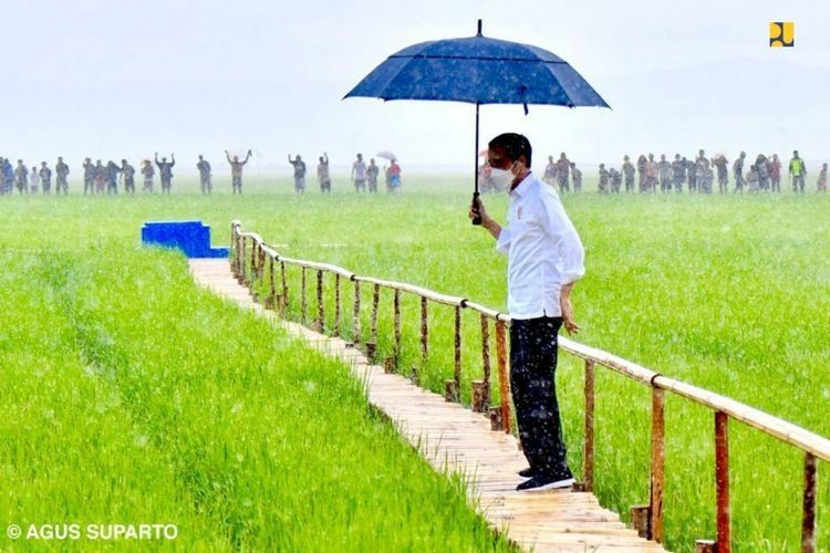 Presiden Joko Widodo (Jokowi) meminta Kementerian Pekerjaan Umum dan Perumahan Rakyat (PUPR) membangun waduk dan bendungan untuk mendukung food estate di Kabupaten Sumba Tengah. (Foto: Kementerian PUPR via kompas.com)