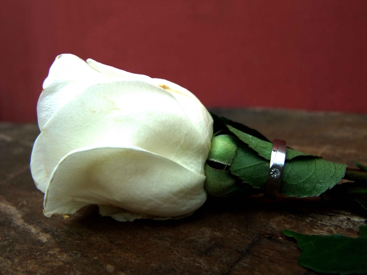 A Proposal (dok.pri) Sekuntum mawar tergolek di meja kerja