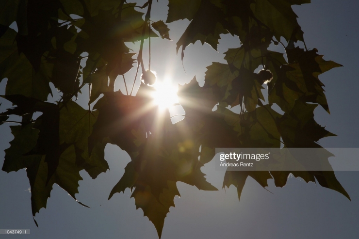 Sang Surya ( getty images )