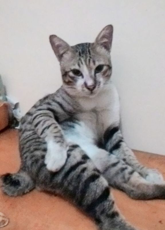 My Beloved Unyil yang ganteng.... | Dokumentasi pribadi