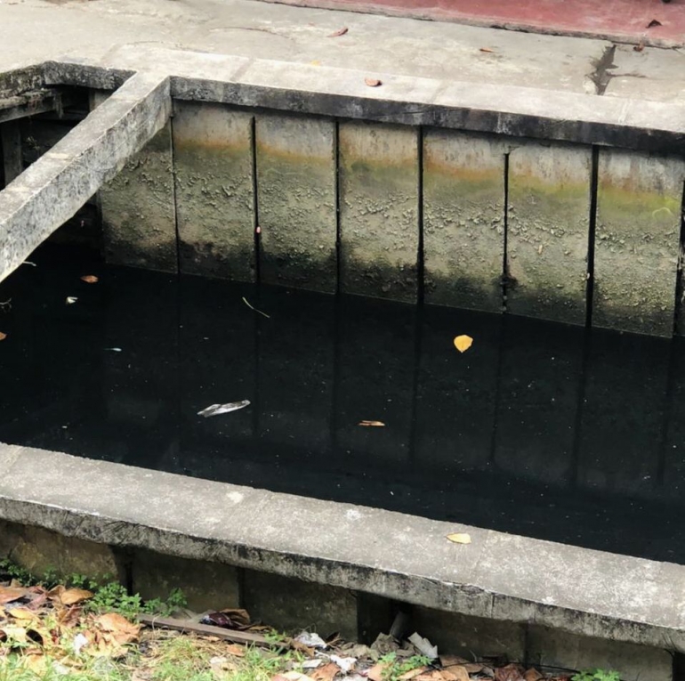 Berkurangnya debit air juga terlihat dari parit yang terhubung dengan Sungai Kapuas | Dokumentasi Pribadi