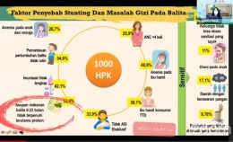 Penyebab Stunting & Masalah Gizi Balita |Dokpri