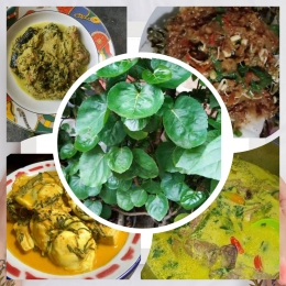 Kuliner dari daun mangkokan: edit Photogrid|Dokpri