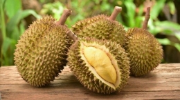 Durian, indoindians.com