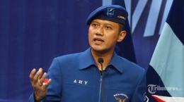 Agus Harimurti Yudhoyono, Ketua Umum Partai Demokrat (tribunnews.com) 
