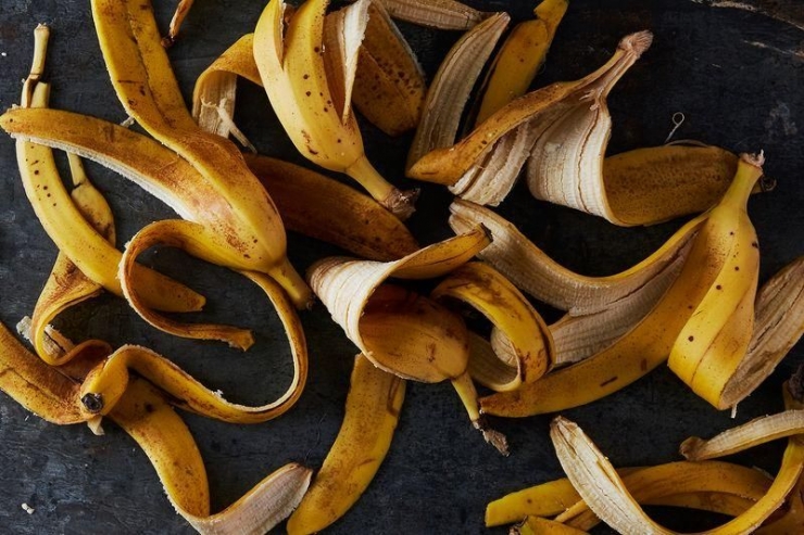 Banana Peels (earthsavvy.co.nz)