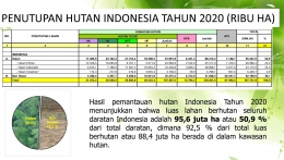 Indikator SDGs 15.1.1. Penutupan Hutan Indonesia 2020 (sumber : PKTL-KLHK)
