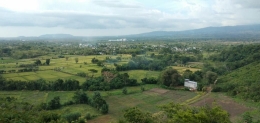 Dokumentasi pribadi|Tampak desa Doropeti dengan pabrik gula dikejauhan