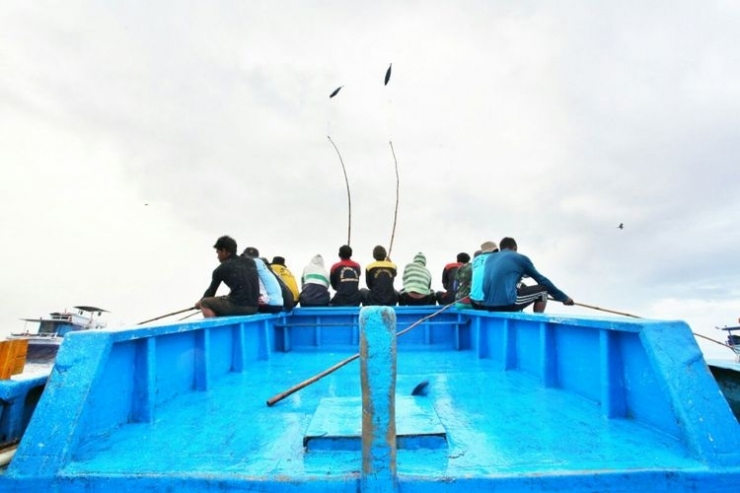 Hujan ikan cakalang jadi salah satu momen yang diperoleh dalam memancing ikan secara tradisional oleh nelayan di Ternate, Maluku. Ikan dipancing hanya dengan bilah bambu (Sumber: otomotif.kompas.com)