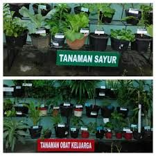 puskesmas.bantulkab.go.id