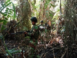 Akurat.co |  Yonif 713 Jelajahi Belantara Papua Demi Pastikan Keamanan Rakyat ...
