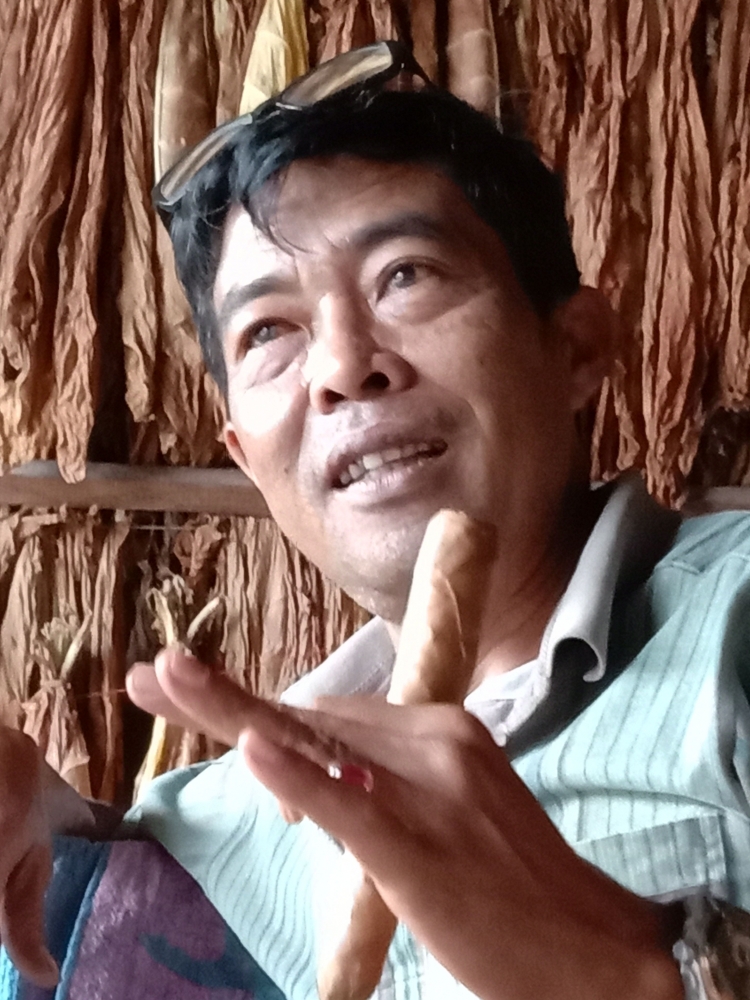 Sri Waluyo, guru yang membuat cerutu di Takengon, Aceh Tengah. Foto. Wrb koleksi pribadi