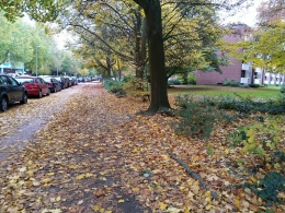 Di mana-mana daun berserakan, awal musim gugur 2020 di Bremen. (Foto: Erwin Silaban)
