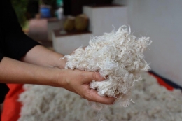 Vegan wool. Photo: triplepundit.com