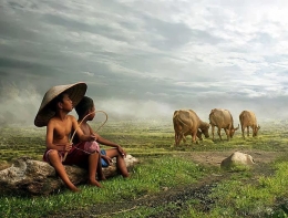 Alhamdulillah saya juga pernah angon sapi begini (Foto: kaskus.co.id)