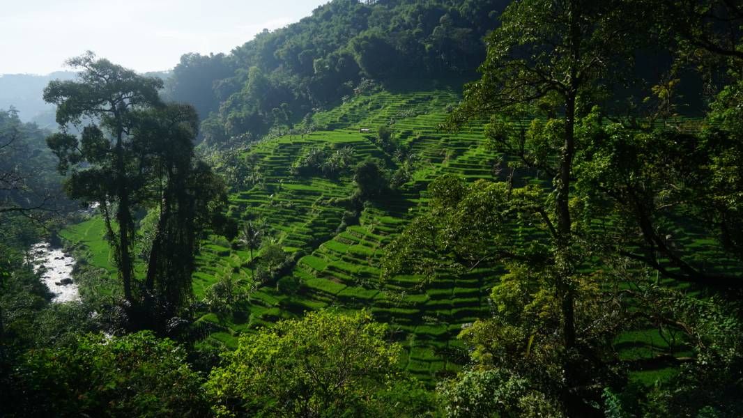 Pemandangan alam di Cadas Pangeran (Foto: DJULI PAMUNGKAS via beritabaik.id)