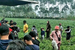 Ilustrasi. Foto:kompas.com/dian reinis kumampung