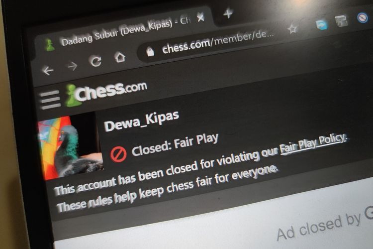 Ilustrasi akun Dewa_Kipas di Chess.com yang diblokir.(KOMPAS.com/Bill Clinten) 