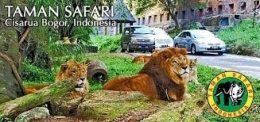 Sumber: Tamansafari.com