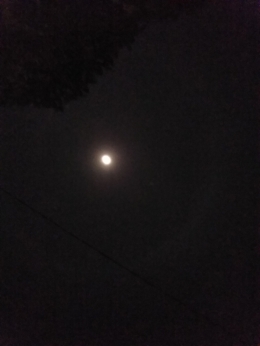 Dokpri,  bulan purnama