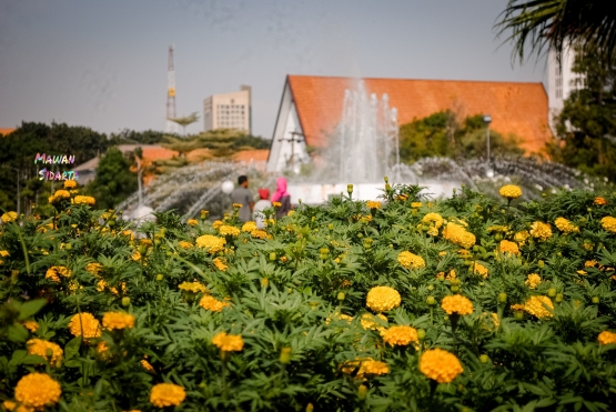 Taman bunga di Balai Kota Surabaya (Dokumentasi Mawan Sidarta)