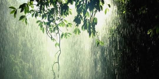 merdeka.com Modifikasi cuaca di Riau, SBY disambut hujan deras | merdeka.com