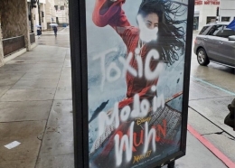 Poster Mulan pun dirusak di AS. | Larissa Lim BBC.com
