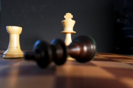 Chess.com meyakini bahwa pemblokiran Dewa_Kipas merupakan keputusan yang benar (moritz320/pixabay)