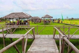 Kampung wisata sawah di Medan (pariwisatasumut.net)