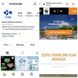 Website WWF Indonesia & Instagram Marine Buddies Dps